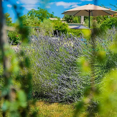 Benka Vakantiehuis Mofardini