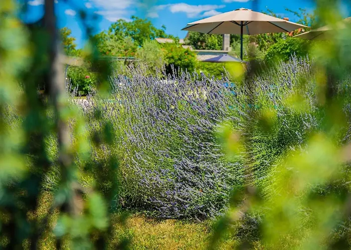 Benka Vikendica Mofardini